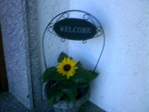 Haus Alpenblick inkl. Chiemgaukarte Apartment in Ruhpolding