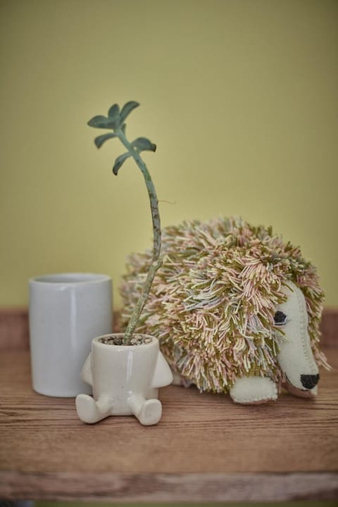 Armónico departamento Ciudad de México Apartment in Mexico City