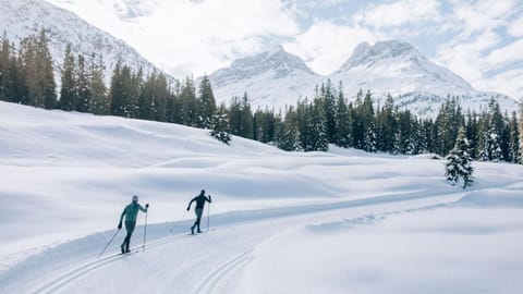 Natural landscape, Winter, Sports