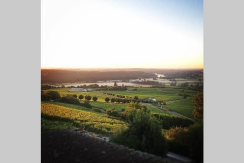 Vue panoramique sur le vignoble Apartment in Sancerre