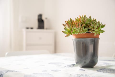 Coffee/tea facilities, Decorative detail