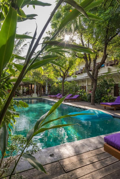 Garden, Pool view
