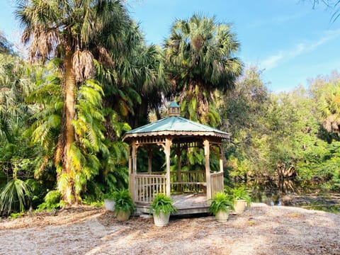 Tampa's Secret Casa in Town N Country