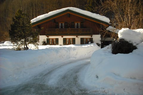 Ferienwohnung Hinterreiter inkl. Chiemgaukarte Apartment in Ruhpolding
