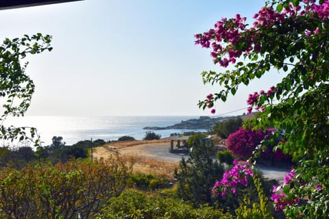 Hiking, Sea view