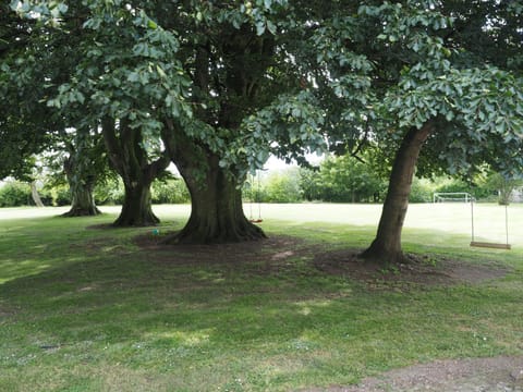 Natural landscape, Garden, Garden, Text overlay, Garden view, Area and facilities