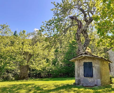 Garden, Garden view