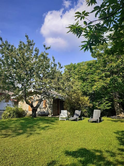 Property building, Garden, Garden view