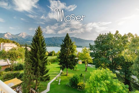 Spring, Summer, Lake view