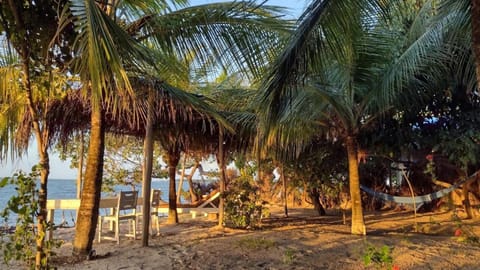 Oceano Atins Bed and Breakfast in State of Maranhão, Brazil