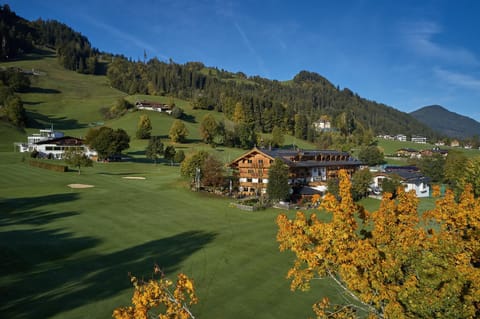 Bird's eye view, Other, Autumn, On site