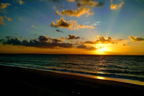 Natural landscape, Beach, Sunset