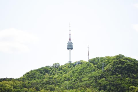 Natural landscape, View (from property/room), Mountain view