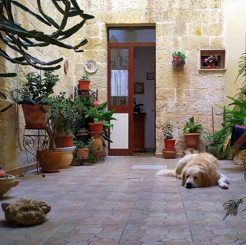 Facade/entrance, Pets