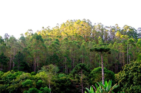 Chalé vista da mata Chalet in State of Rio de Janeiro