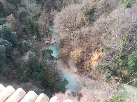 View (from property/room), River view