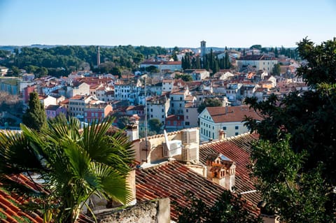 Neighbourhood, City view