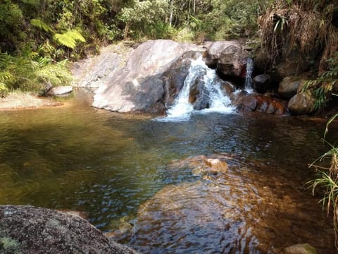 Natural landscape