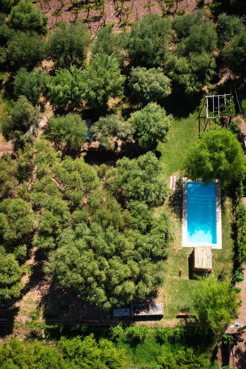 Spring, Natural landscape, Bird's eye view, Summer, Pool view, Swimming pool