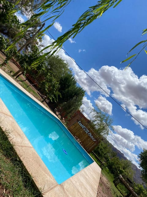 Garden, Pool view, Swimming pool