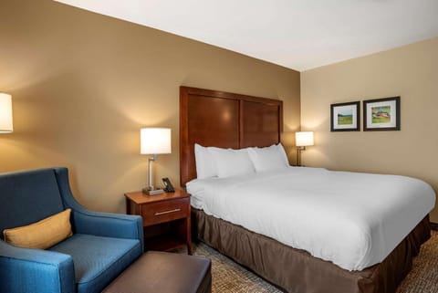 Comfort Inn & Suites Hotel in Harrisonburg