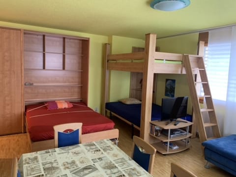 Bed, Living room, Seating area, bunk bed