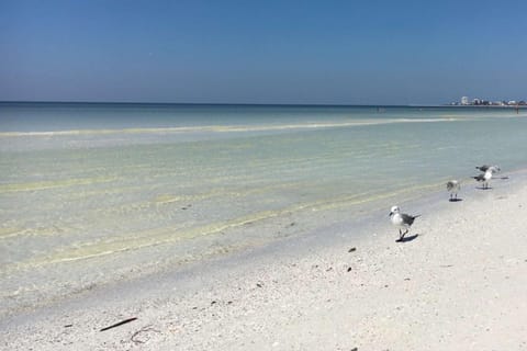 Beach Way East House in Siesta Beach