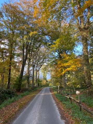 Neighbourhood, Natural landscape