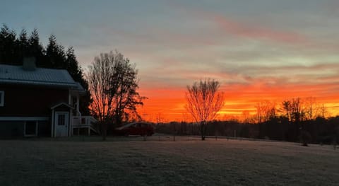 Sunrise