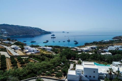 Archon Mykonos Luxury Villa Villa in Agios Ioannis Diakoftis