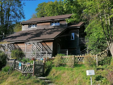 Property building, Day, Garden