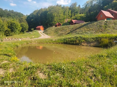 Садиба Припір Apartment in Lviv Oblast