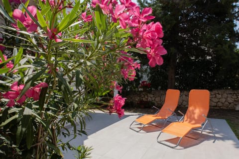 Day, Garden, Garden view, sunbed
