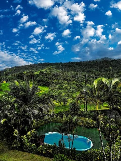 Nearby landmark, Spring, Day, Natural landscape, Garden, Garden view, Mountain view, Pool view, Swimming pool