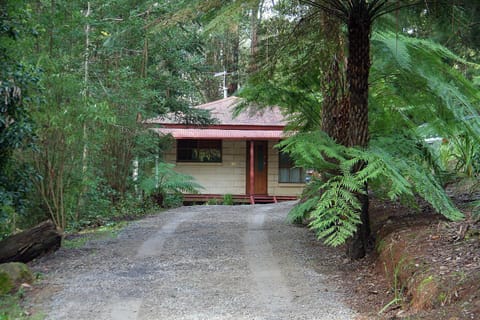 The Fernglen Forest Retreat Chambre d’hôte in Mount Dandenong