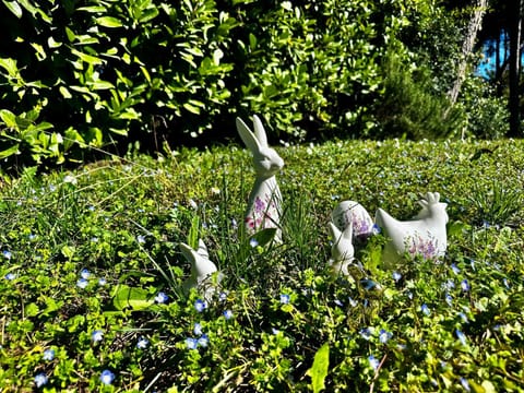 Decorative detail, Garden view