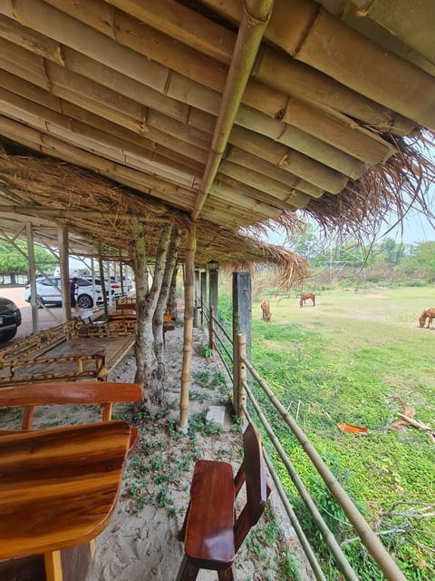 Day, Natural landscape, Seating area