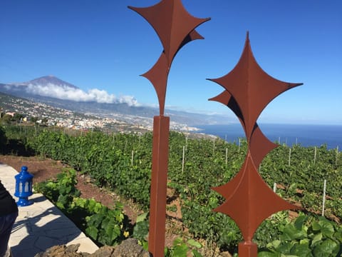 Finca Angelus Amazing Views Sea + Teide Eigentumswohnung in La Matanza de Acentejo