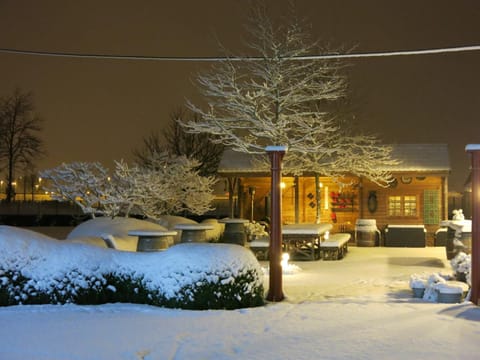 Property building, Night, Winter, Garden, Balcony/Terrace