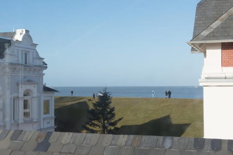 Balcony/Terrace, Lake view