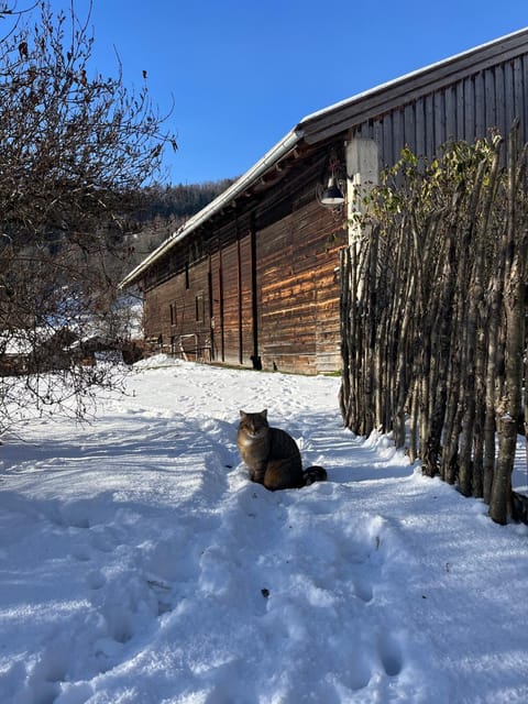 Maiergschwendter-Hof inkl. Chiemgaukarte Farm Stay in Ruhpolding