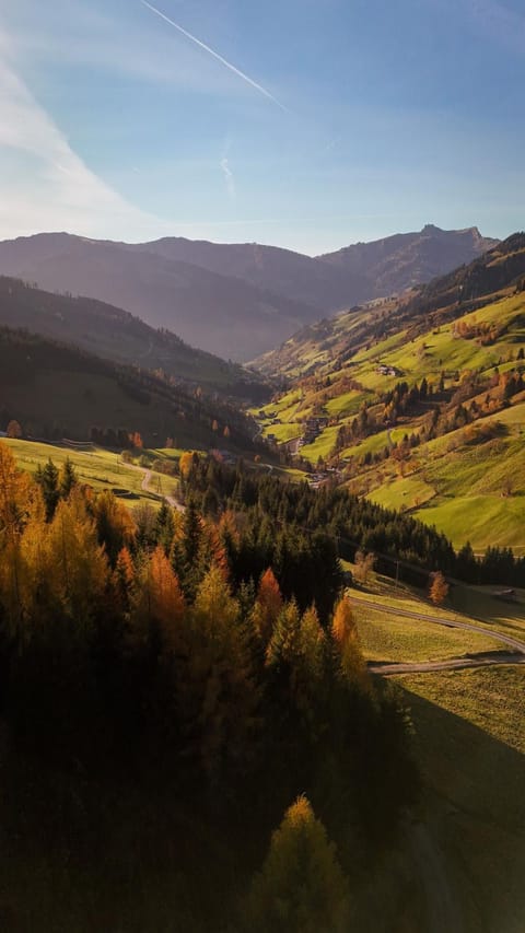 Autumn
