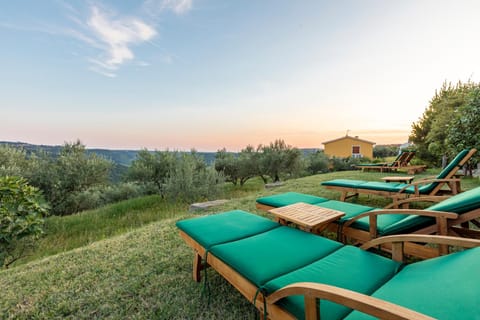 Patio, Garden, Sunset