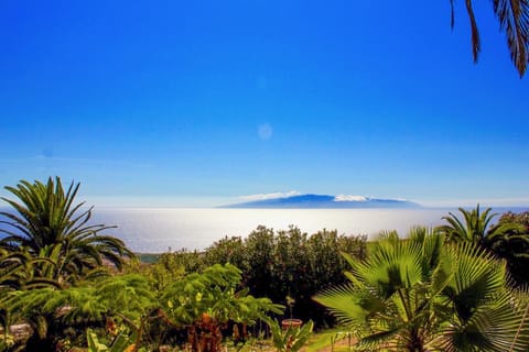 Garden, Garden view, Sea view