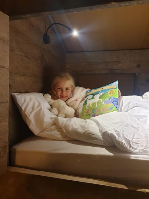 Luxury Safari Lodge surrounded by deer!! 'Fallow' House in Mid Devon District