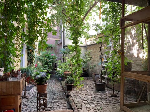 Inner courtyard view