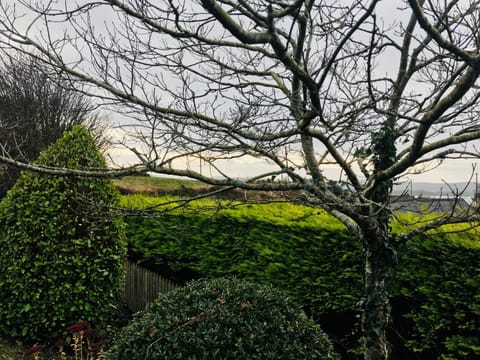 Hill Sea View Cottage House in County Kerry