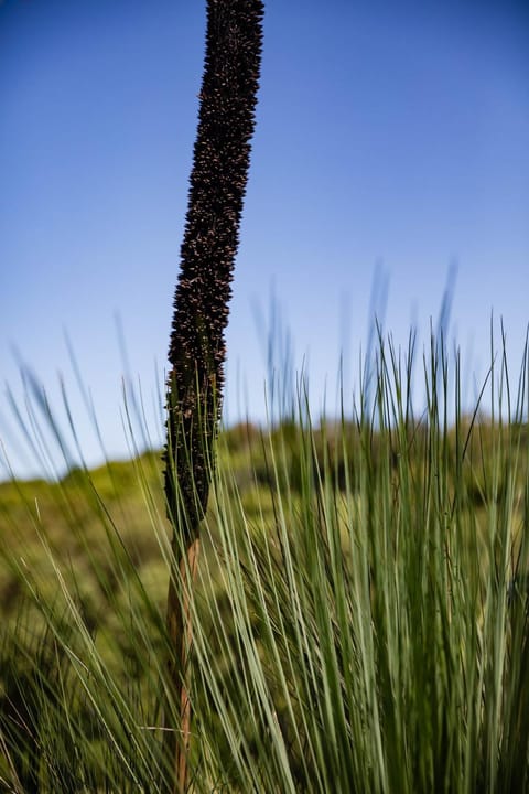 Natural landscape