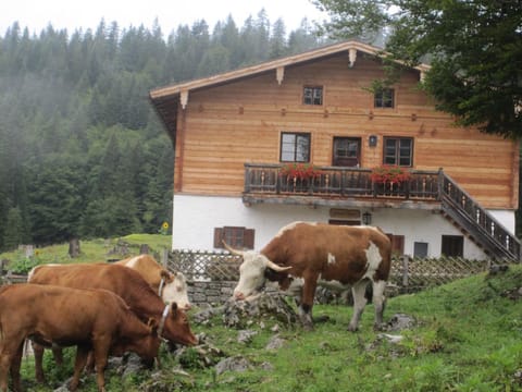 Sulzenhof Farm Stay in Ruhpolding