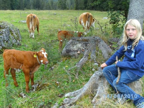 Sulzenhof Farm Stay in Ruhpolding